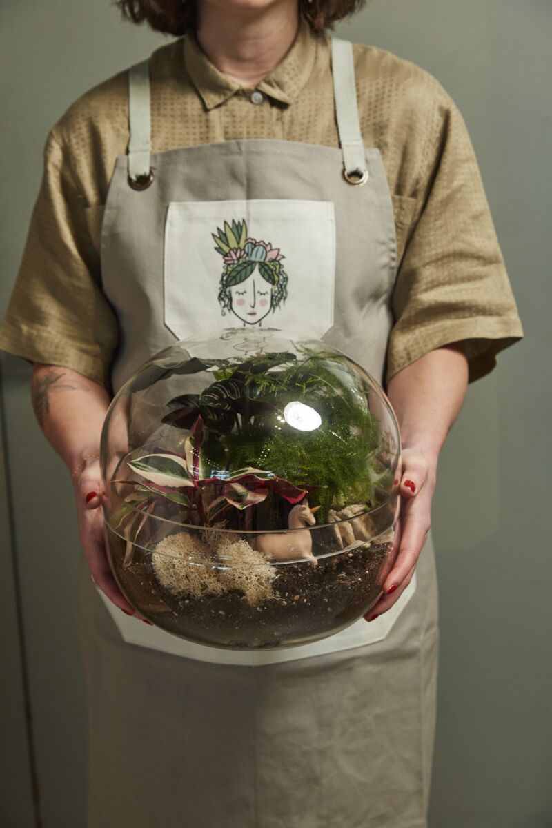 Terrarium Workshops