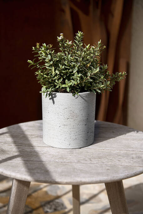 Max Fiberclay Planter