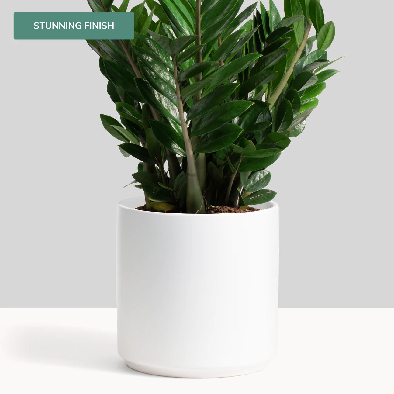 Minimalist Ceramic Planter